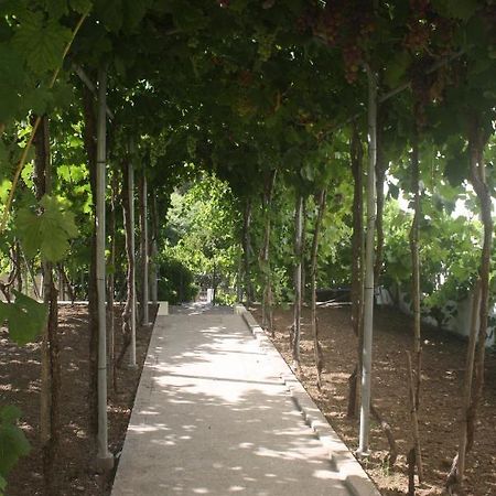 Casatiomanel Villa Amiais de Baixo Bagian luar foto